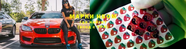 прущая мука Иннополис