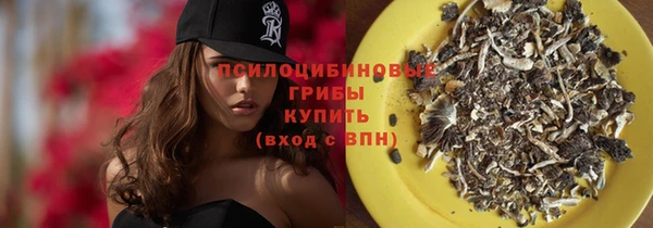 мяу мяу мука Инта