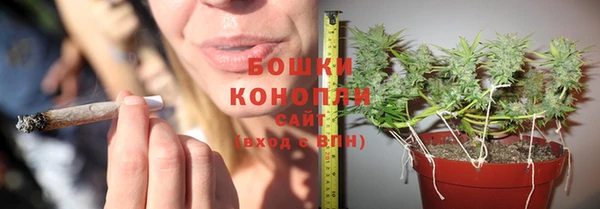 гидра Инсар