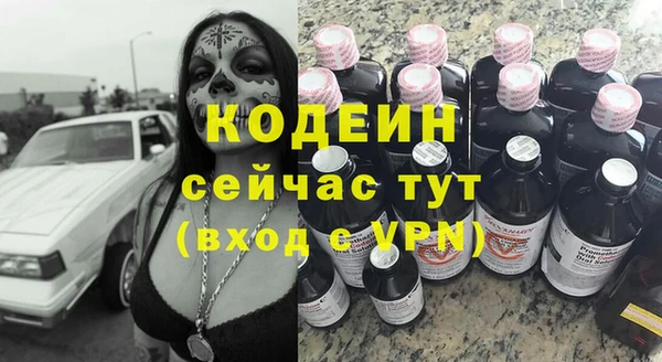 гидра Инсар