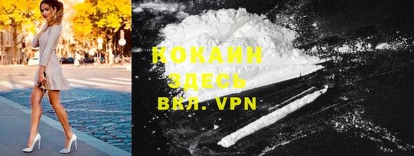 гидра Инсар