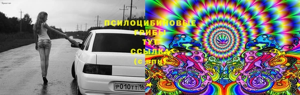 прущая мука Иннополис