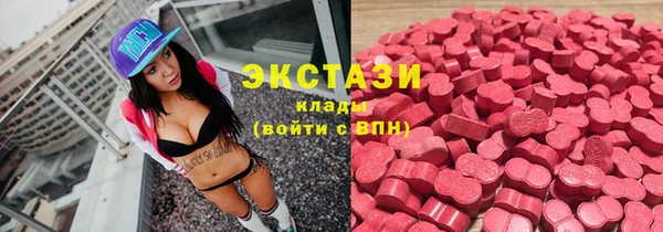 гидра Инсар