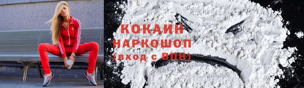 гидра Инсар