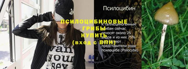 прущая мука Иннополис