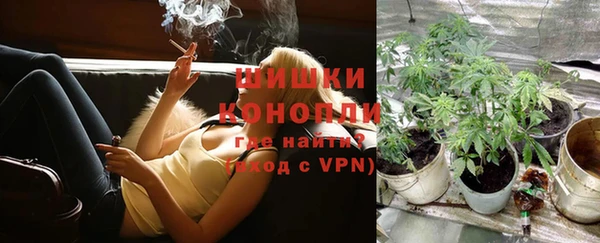 гидропоника Зеленодольск