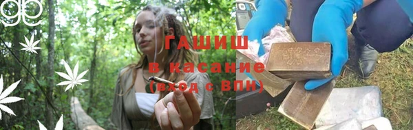 гидра Инсар