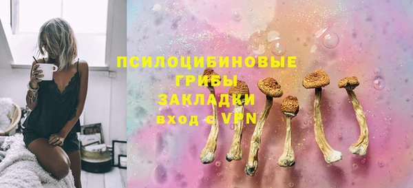 прущая мука Иннополис