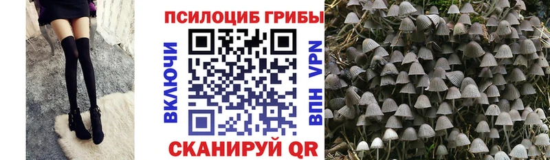 Галлюциногенные грибы Psilocybe  Купить  Северо-Курильск 